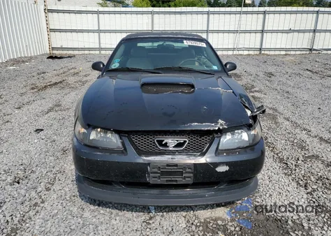 2003 Ford Mustang Gt z USA, uszkodzony, nr VIN 1FAFP45XX3F434470